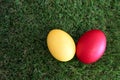 Red and yellow easter egg on green grass closeup Royalty Free Stock Photo