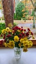 Red and yellow flowers in crystal vase on the windowsill and autumn landscape Royalty Free Stock Photo