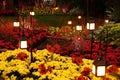 The bright red and yellow flowers decorated around ground light poles Royalty Free Stock Photo