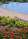 Red and yellow flowers in a garden bed in the park