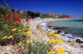 Red and yellow flowers at the seaside Royalty Free Stock Photo