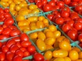 Red and yellow grape tomatoes Royalty Free Stock Photo