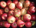 Red yellow green apples jonagored in the box. fruit. Apple production. Background texture. Royalty Free Stock Photo