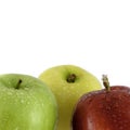 Red, yellow and green apples with water droplets close-up shot on white with copy space for text Royalty Free Stock Photo