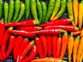 Red, yellow and green chili peppers Royalty Free Stock Photo