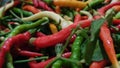 Red yellow green chili peppers hot spicy food Royalty Free Stock Photo