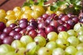 Red, yellow and green gooseberries Royalty Free Stock Photo