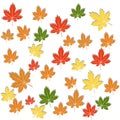 White background of colorful red yellow green autumn maple leaves Royalty Free Stock Photo