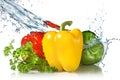 Red, yellow, green pepper and parsley with water Royalty Free Stock Photo