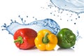 Red, yellow, green pepper with water splash Royalty Free Stock Photo