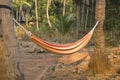 Red-yellow hammock between two palm trees on a blurred background of the jungle Royalty Free Stock Photo