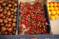 Red and yellow homegrown tomatoes and cherry on local farmer agricultural market or supermarket. Healthy vegetarian food. Storage