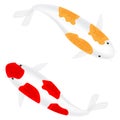 Red and yellow japan Koi fish or fancy carp fish Royalty Free Stock Photo