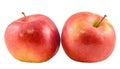 Red-yellow Jonathan apples, isolated Royalty Free Stock Photo