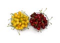 Red and yellow juicy sweet cherries on a white background with space for text. Top view, flat lay Royalty Free Stock Photo