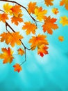 Red and yellow leaves against blue sky. EPS 8 Royalty Free Stock Photo