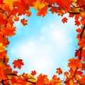 Red and yellow leaves against blue sky. EPS 8 Royalty Free Stock Photo