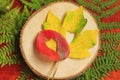 Red and Yellow leaves with cut out heart close-up on wooden background,