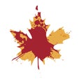 Red and yellow maple leaf isolated on a white background. Autumn element for your design.