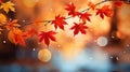 Red and yellow maple leaves in early autumn against a blurry background