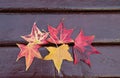 Red and yellow maple leaves on a wooden bench in the autumn Park Royalty Free Stock Photo