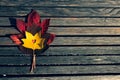 Red and yellow maple leaves on a wooden bench Royalty Free Stock Photo