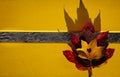 Red and yellow maple leaves on a wooden yellow bench Royalty Free Stock Photo