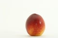 Red and yellow nectarine