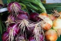 Red and yellow onions for sale in farmers market Royalty Free Stock Photo