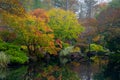 Vibrant autumn foliage reflecting in a Japanese Garden pond at Gibbs Gardens, Georgia Royalty Free Stock Photo