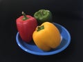 red, yellow, orange and green capsicum or Bell pepper Capsicum annuum Royalty Free Stock Photo