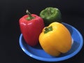 red, yellow, orange and green capsicum or Bell pepper Capsicum annuum Royalty Free Stock Photo