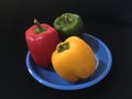 red, yellow, orange and green capsicum or Bell pepper Capsicum annuum Royalty Free Stock Photo