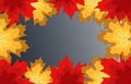Red, yellow and orange maple leaves are located around perimeter of image. Ready-made layout for poster, ads, postcards. Flat