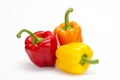 Red yellow orange pepper on white background Royalty Free Stock Photo