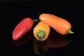 Red, yellow and orange sweet peppers isolated on black Royalty Free Stock Photo