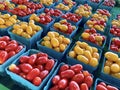 Red and Yellow Oval Cherry Tomatoes