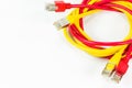 Red and yellow patch cables with RJ45 connector isolated on whit Royalty Free Stock Photo