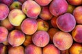 Red and yellow peach background, top view, close up Royalty Free Stock Photo