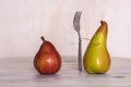 Red and yellow pear on the table. Pear with a fork. Still life with pears. Royalty Free Stock Photo