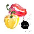 Red and yellow peppers. Hand drawn watercolor painting on white background. Vector illustration