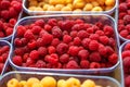 Red and yellow raspberries in boxes, healthy food concept Royalty Free Stock Photo
