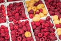 Red and yellow raspberries in boxes at local farm market Royalty Free Stock Photo