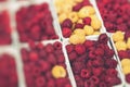 Red and yellow raspberries in boxes at local farm market Royalty Free Stock Photo