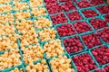 Red and yellow raspberries in boxes Royalty Free Stock Photo