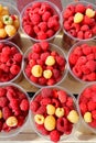 Red and yellow raspberries are collected in plastic cups on the counter Royalty Free Stock Photo