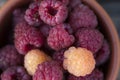 Red and yellow raspberries in a cup Royalty Free Stock Photo