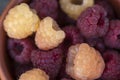 Red and yellow raspberries in a cup Royalty Free Stock Photo