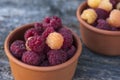 Red and yellow raspberries in a cup Royalty Free Stock Photo