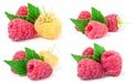 Red and yellow raspberries with leaves isolated on white background. Set or collection Royalty Free Stock Photo